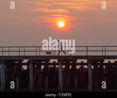 Pays de Galles Aberystwyth UK. 07 avril 2019. Météo France : femme s'exécute avec chien dans pendant sur la jetée sur un dimanche ensoleillé dans Aberystywth, au Pays de Galles. © Rhodri Jones/ UN Banque D'Images