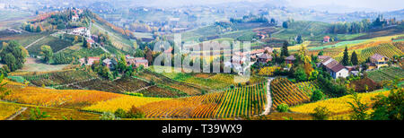 Multicolore impressionnante vigne en Piémont, Italie. Banque D'Images