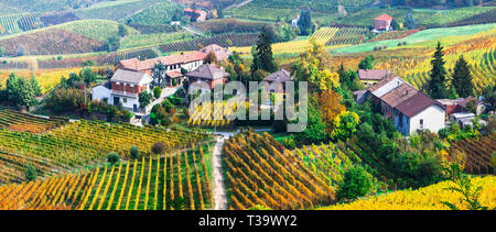 Multicolore impressionnante vigne en Piémont, Italie. Banque D'Images