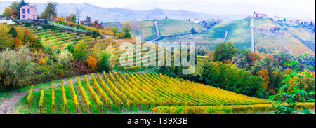 Multicolore impressionnante de vignobles dans la région du Piémont, Italie Banque D'Images