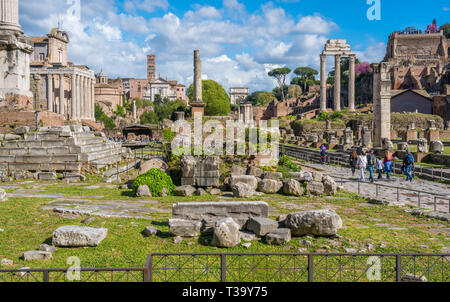 Vue panoramique dans le Forum Romain sur une journée ensoleillée. Rome, Italie. Banque D'Images