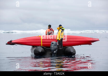 Un zodiac chargé avec des kayaks de mer Les croisières autour des icebergs dans la mer de Weddell, l'Antarctique. Banque D'Images