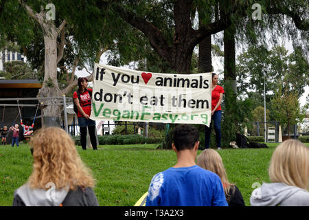 Des centaines de défenseurs des droits des animaux se sont rassemblées dans le quartier d'affaires de Melbourne le 6 avril 2019, Victoria en Australie. Banque D'Images