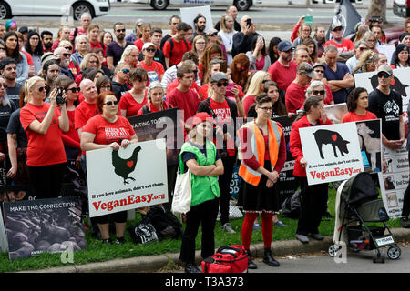 Des centaines de défenseurs des droits des animaux se sont rassemblées dans le quartier d'affaires de Melbourne le 6 avril 2019, Victoria en Australie. Banque D'Images