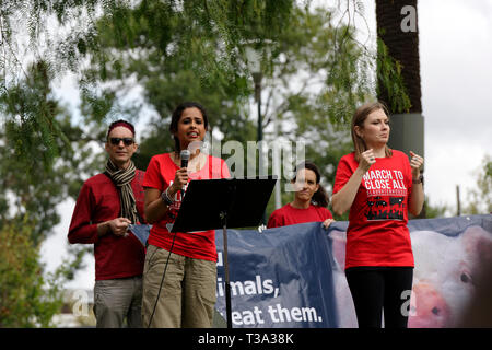 Des centaines de défenseurs des droits des animaux se sont rassemblées dans le quartier d'affaires de Melbourne le 6 avril 2019, Victoria en Australie. Banque D'Images