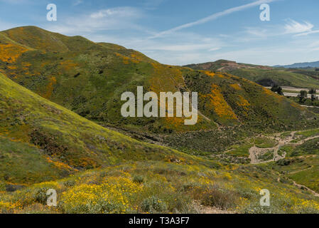 Bel superbloom vista dans une chaîne de montagnes près de Lake Elsinore, Californie du Sud Banque D'Images