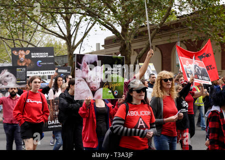 Des centaines de défenseurs des droits des animaux se sont rassemblées dans le quartier d'affaires de Melbourne le 6 avril 2019, Victoria en Australie. Banque D'Images
