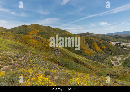 Bel superbloom vista dans une chaîne de montagnes près de Lake Elsinore, Californie du Sud Banque D'Images
