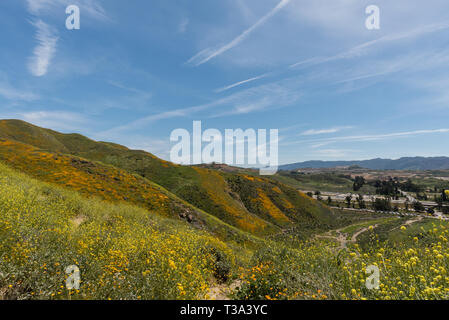 Bel superbloom vista dans une chaîne de montagnes près de Lake Elsinore, Californie du Sud Banque D'Images