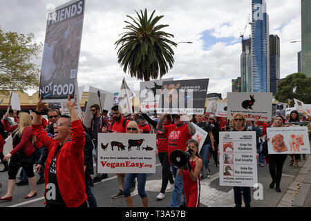 Des centaines de défenseurs des droits des animaux se sont rassemblées dans le quartier d'affaires de Melbourne le 6 avril 2019, Victoria en Australie. Banque D'Images