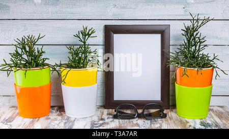 Maquette de cadres de photo vides et les plantes en pots multicolores sur un fond en bois clair. Banque D'Images