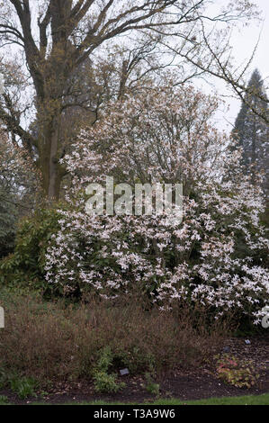 Wakehurst Place East Sussex National Trust Banque D'Images