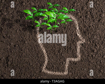 Les idées et l'initiative concept. Feuilles vertes de cerveau humain. Banque D'Images