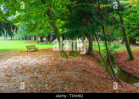 Grand parc de Monza en automne. à Monza. Italie Banque D'Images