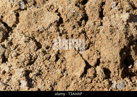 La texture du sable. Fond de sable de construction close up Banque D'Images