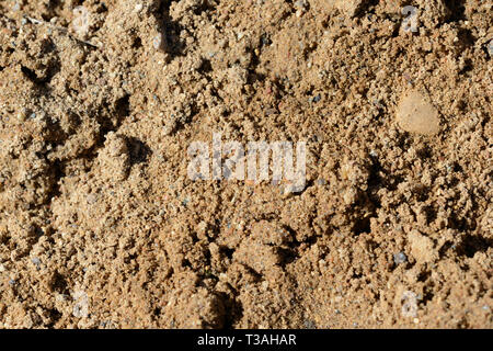 La texture du sable. Fond de sable de construction close up Banque D'Images