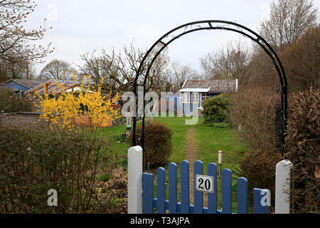 Un Kleingärten jardin allemand, dans le quartier de Stellingen allotissement de Hambourg, Allemagne Banque D'Images