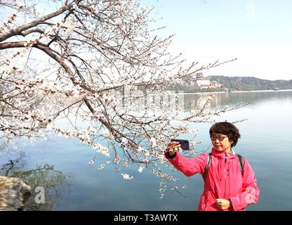 Beijing, Chine. Mar 16, 2019. Une femme pose pour des photos de fleurs au Palais d'été à Beijing, capitale de Chine, le 16 mars 2019. Credit : Wei Mengjia/Xinhua/Alamy Live News Banque D'Images