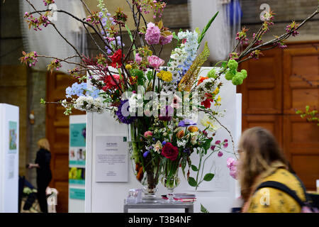 Londres, Royaume-Uni. 8 avril, 2019. La Royal Horticultural Society (RHS) Londres Lancement du printemps et Orchid Show, ouverture 9-10 avril, met en vedette certains des plus belles plantes de printemps affiche, d'orchidées exotiques et la chance de se glisser un aperçu de l'ERS montrent 2019 line-up. Credit : Malcolm Park/Alamy Live News. Banque D'Images