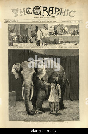 Le journal de Frontpage Graphique pour le 26 janvier 1884. Le Livre blanc de M. Barnum 'Éléphant Birman Toung Taloug' Banque D'Images