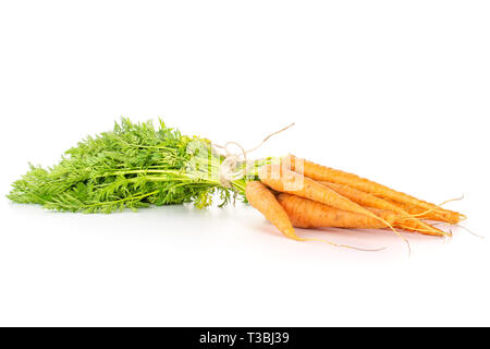 Beaucoup de carotte orange frais entier avec des greens liées par le jute isolé sur fond blanc Banque D'Images