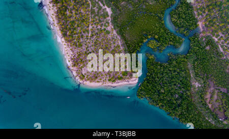 Mangroove swamp à Kanga beach, île de Mafia Banque D'Images