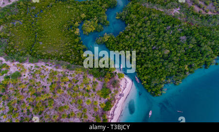 Mangroove swamp à Kanga beach, île de Mafia Banque D'Images