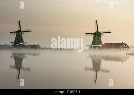 Trois moulins à vent à Zaanse près de rivière dans un lever de soleil dans le brouillard Banque D'Images