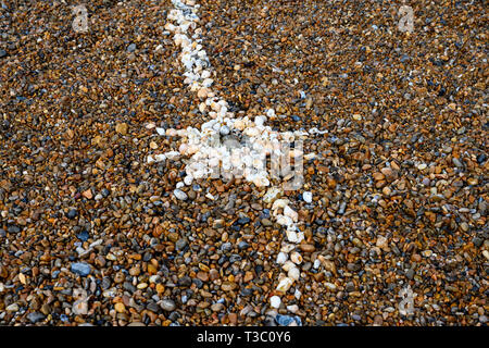 Les coquillages dans une ligne sur la plage Banque D'Images