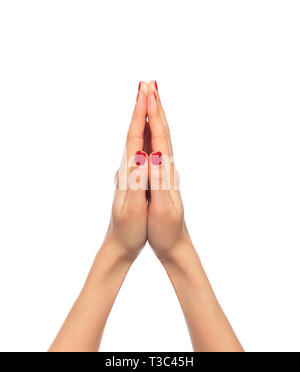 La femme a les mains pliées ensemble pour la prière sur fond blanc. Banque D'Images