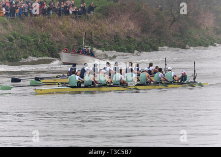 Oxford v Cambridge à l'Université 2019 Boat Race Course vers la ligne d'arrivée Mortlake, Londres, Royaume-Uni. Les équipes d'aviron course de bateaux sur la Tamise Banque D'Images