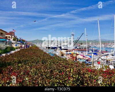 Plaisir/commerciaux et récréatifs bateaux amarrés à la Marina, Port Ventura, Ventura, Californie, USA. Banque D'Images