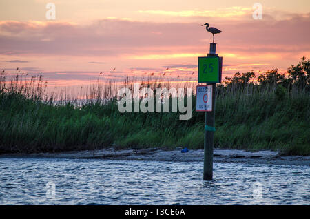 Un héron perché au coucher du soleil près du Bayou La Batre State Docks à Bayou La Batre, Alabama, le 17 juin 2013. Banque D'Images