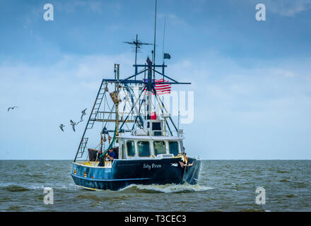 Le bateau pirate têtes de crevettes salées à la maison après une longue journée de la crevette dans la Bayou Batre, Alabama, le 16 mai 2015. Banque D'Images