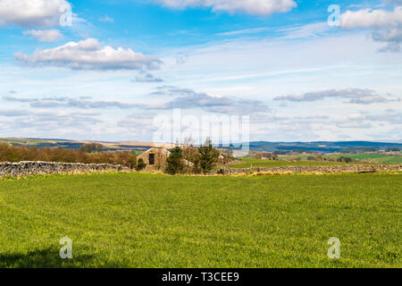 À l'échelle des terres agricoles dans la forêt de Bowland, Lancashire, vers le nord du Yorkshire. L'Angleterre. 06 avril 2019 Banque D'Images