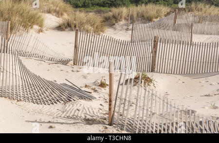 Clôtures en bois dans les dunes pour empêcher le sable de déménagement, Costa Nova, Aveiro, Portugal Banque D'Images