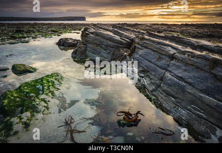 Rock formation et la piscine au point d'Buckquoy, près de Birsay, Mainland, Orkney Islands. Marwick Head est à l'arrière-plan. Banque D'Images