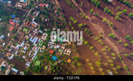 Les fermes de la ville de Moshi, Tanzanie Banque D'Images