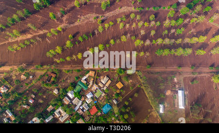 Les fermes de la ville de Moshi, Tanzanie Banque D'Images