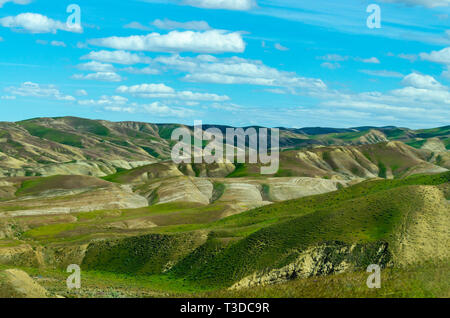 Superbloom dans le centre de la Californie's Diablo Mountain Range spring 2019 USA Banque D'Images