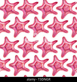 StarfishSeamless avec motif transparent motif étoile de mer. Étoile de mer est dessiné à la main avec des crayons de couleur. Étoile de mer rose isolé sur un fond blanc. Banque D'Images