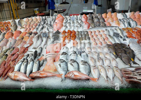 Poissons Poissons affichage à ventes shop à Brixton Market, South London England UK KATHY DEWITT Banque D'Images