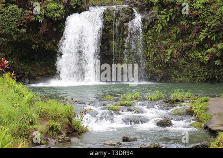 Une cascade se précipiter sur une colline volcanique en cascade dans une forêt tropicale à Pua'a Ka'a Wayside Park, Haiku, Maui, Hawaii Banque D'Images
