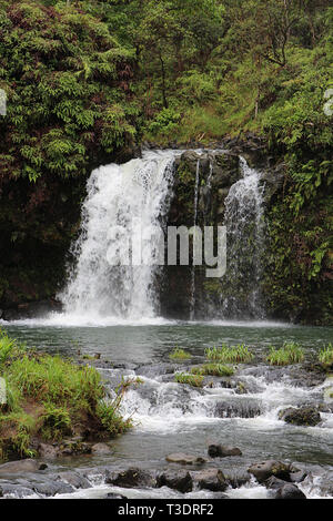 Une cascade se précipiter sur une colline volcanique en cascade dans une forêt tropicale à Pua'a Ka'a Wayside Park, Haiku, Maui, Hawaii Banque D'Images