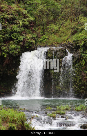 Une cascade se précipiter sur une colline volcanique en cascade dans une forêt tropicale à Pua'a Ka'a Wayside Park, Haiku, Maui, Hawaii Banque D'Images