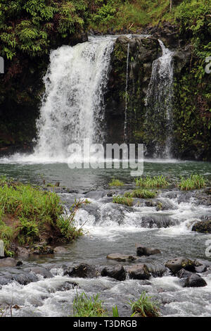 Une cascade se précipiter sur une colline volcanique en cascade dans une forêt tropicale à Pua'a Ka'a Wayside Park, Haiku, Maui, Hawaii Banque D'Images