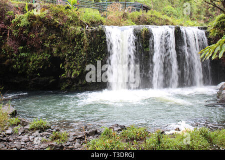 Trois chutes d'eau se précipitant sur une colline volcanique en cascade dans une forêt tropicale à Pua'a Ka'a Wayside Park, Haiku, Maui, Hawaii Banque D'Images