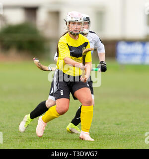 Shinty. Lovat v Fort William en Challenge Cup, les CMA ont joué à Balgate, Kiltarlity. Banque D'Images