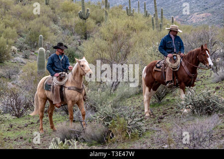 Cowboys américains leur circonscription se monte dans la scène du désert autour de Wickenburg, Arizona Banque D'Images