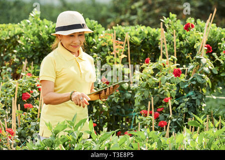 Femme souriante dans son jardin Banque D'Images
